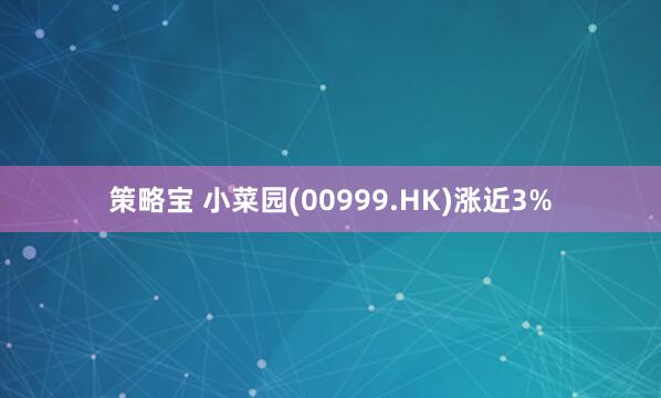 策略宝 小菜园(00999.HK)涨近3%
