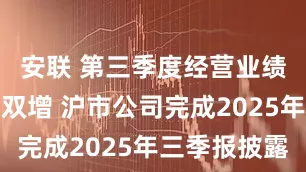 安联 第三季度经营业绩同比环比双增 沪市公司完成2025年三季报披露