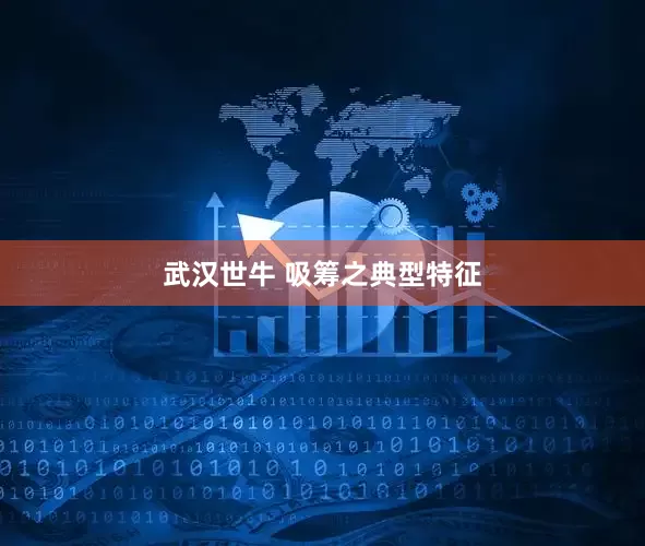 武汉世牛 吸筹之典型特征