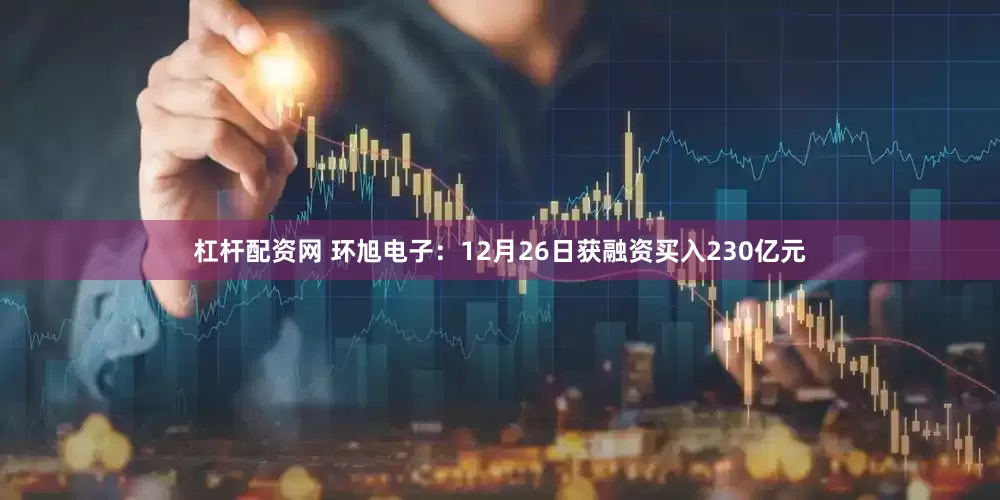 杠杆配资网 环旭电子：12月26日获融资买入230亿元