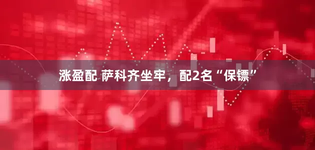 涨盈配 萨科齐坐牢，配2名“保镖”